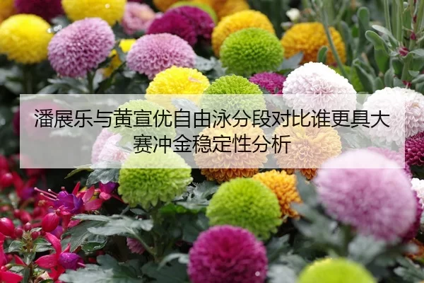 潘展乐与黄宣优自由泳分段对比谁更具大赛冲金稳定性分析