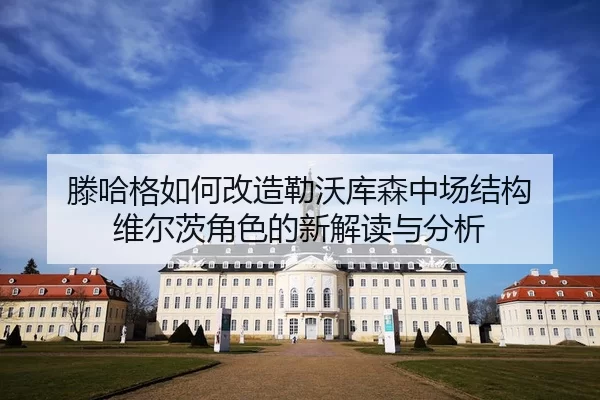 teng-ha-ge-ru-he-gai-zao-lei-wo-ku-sen-zhong-chang-jie-gou-wei-er-ci-jue-se-de-xin-jie-du-yu-fen-xi-2-505.jpg