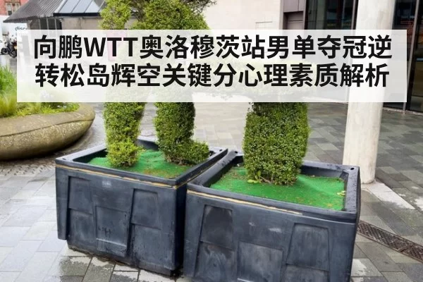 向鹏WTT奥洛穆茨站男单夺冠逆转松岛辉空关键分心理素质解析